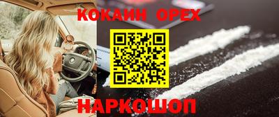 молекула духа Новозыбков